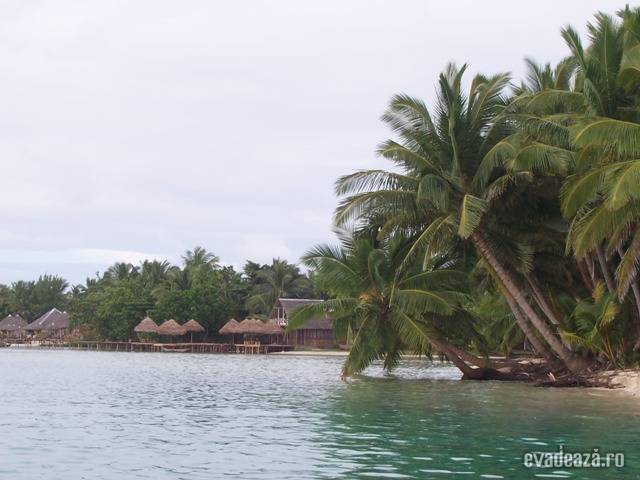 Insula Madagascar | 2